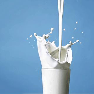 U.E. vrea să producă mai mult lapte