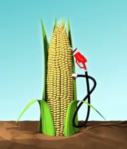 Nestle: din cauza biocarburanţilor, nu vom mai avea ce să mâncăm