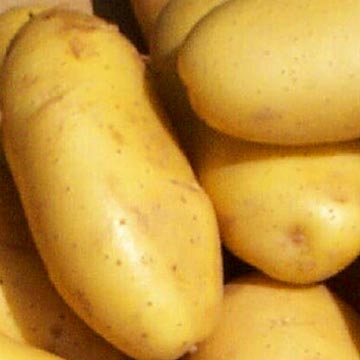 Cartofii: un răspuns la costurile mari ale cerealelor