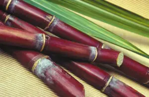 Brazilia se aşteaptă la o producţie record de etanol în 2008