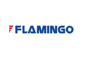 Flamingo: creştere trimestrială cu 38% a vânzărilor