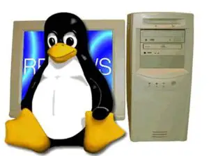 Serverele preferă Linux