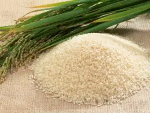 Criza alimentară mondială începe să aibă soluţii