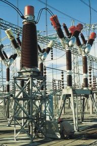 Transelectrica şi Alro anunţă plata dividendelor pe 2007