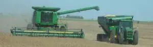 Terenurile agricole, în colimatorul investitorilor speculativi