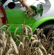 Banca Mondială: Biocombustibilii contiribuie la creşterea preţurilor la alimente