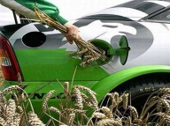 De la confecţii la biocarburanţi