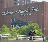 InBev, 4,6 mld. dolari din vânzarea unor divizii ale Anheuser-Busch