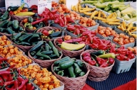Rusia reia importurile de legume din Cehia și Grecia