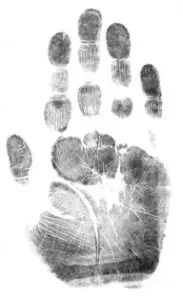 Albanezii vor avea paşapoarte şi cărţi de identitate biometrice