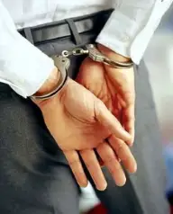 Privatizările la preţ redus se lasă cu arestări în Georgia