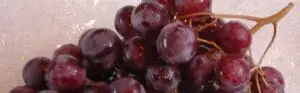 26 de dolari pentru o boabă de strugure
