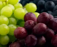 Murfatlar: Recoltă mai bogată cu 32% faţă de anul 2007