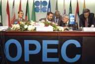 OPEC reduce producţia de petrol cu 520.000 de barili/zi