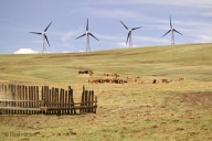 Albania are planuri mari cu energia eoliană