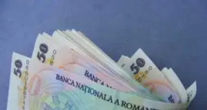Preţurile pentru terenurile din sudul Capitalei s-au dublat în ultimul an