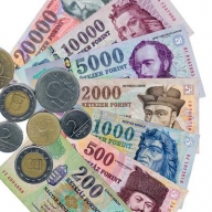 Ungaria creşte agresiv dobânzile ca să salveze forintul