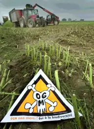 Criza îngrăşămintelor ameninţă producţia agricolă din 2009