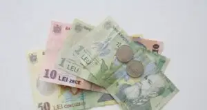 Estimări negative pentru primele luni ale lui 2009