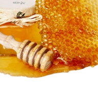 Peste 20 milioane euro alocate în următorii trei ani pentru sectorul apicol