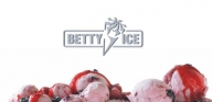 Betty Ice: investiţii de 3 milioane de euro în 2009