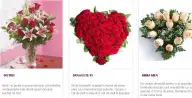 Alexis Bonte şi Alexandre Almajeanu intră în acţionariatul FloriLaBucuresti.ro