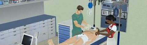 Cum să fii medic în Second Life