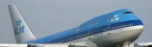 Lalea cu nume de companie aeriană