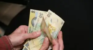 Riscurile impozitului forfetar: şomaj şi evaziune fiscală