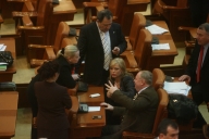 UPDATE 2: Parlamentul a adoptat Ordonanţa privind rectificarea bugetară