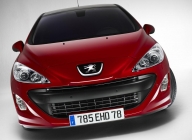 Importatorul mărcii Peugeot se teme de pierderi financiare în acest an