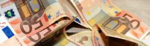 Afaceri de criză cu 10.000 de euro