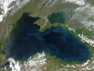 Marexim: Este prea devreme să se stabilească viabilitatea comercială a proiectului din Marea Neagră