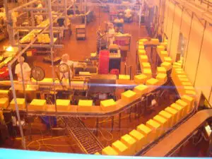 Brailact a investit 6,5 milioane de euro pentru modernizarea producţiei