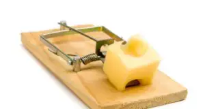 Capcanele creditului în euro pentru „Prima casă”