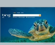 Microsoft Bing creşte încet, dar sigur