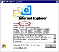 Internet Explorer 6.0, menţinut pe piaţă încă 5 ani
