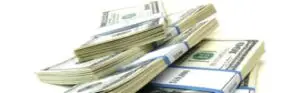 25.000 $ ca să iei masa cu Sarah Palin