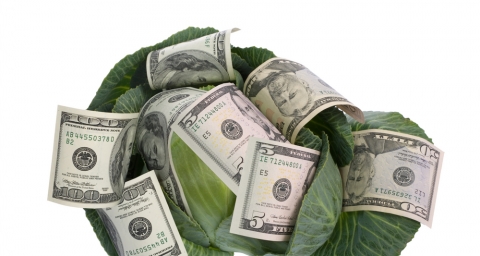 Propuneri parlamentare anticriză: mutăm rezerva valutară în depozite de legume