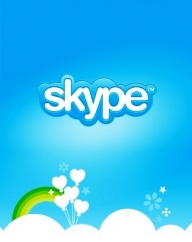 Vaughan Denny, Skype: „Nu ne considerăm reţea socială, deşi suntem cât de sociali este posibil”
