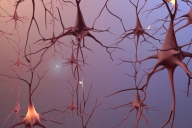 Dificultăţile financiare pot semnaliza debutul sindromului Alzheimer