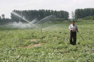 Reţeta de business în agricultură: venituri de 300 de euro pe an, la un preţ de achiziţie de 2.000 de euro pe hectar