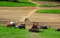 Fermierii pot solicita  electronic subvenţia europeană
