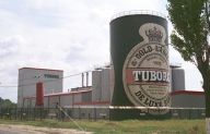 Producătorul Tuborg  vede creştere cu 8% a vânzărilor de bere în 2010