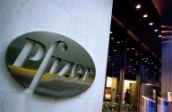 Profit în creştere pentru Pfizer în 2009