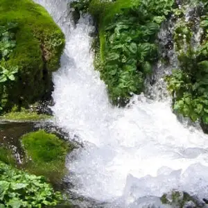 Apemin Tuşnad, creştere a profitului de 150% în primul semestru