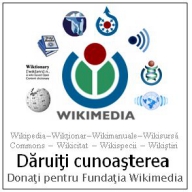 Google a donat 2 milioane de dolari fundaţiei Wikimedia