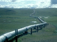 Transgaz, invitată de Gazprom să participe la proiectul South Stream