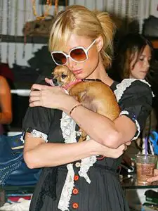 Paris Hilton îşi vinde casa