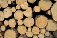Încălzirea cu lemne sau gaz: plusuri şi minusuri